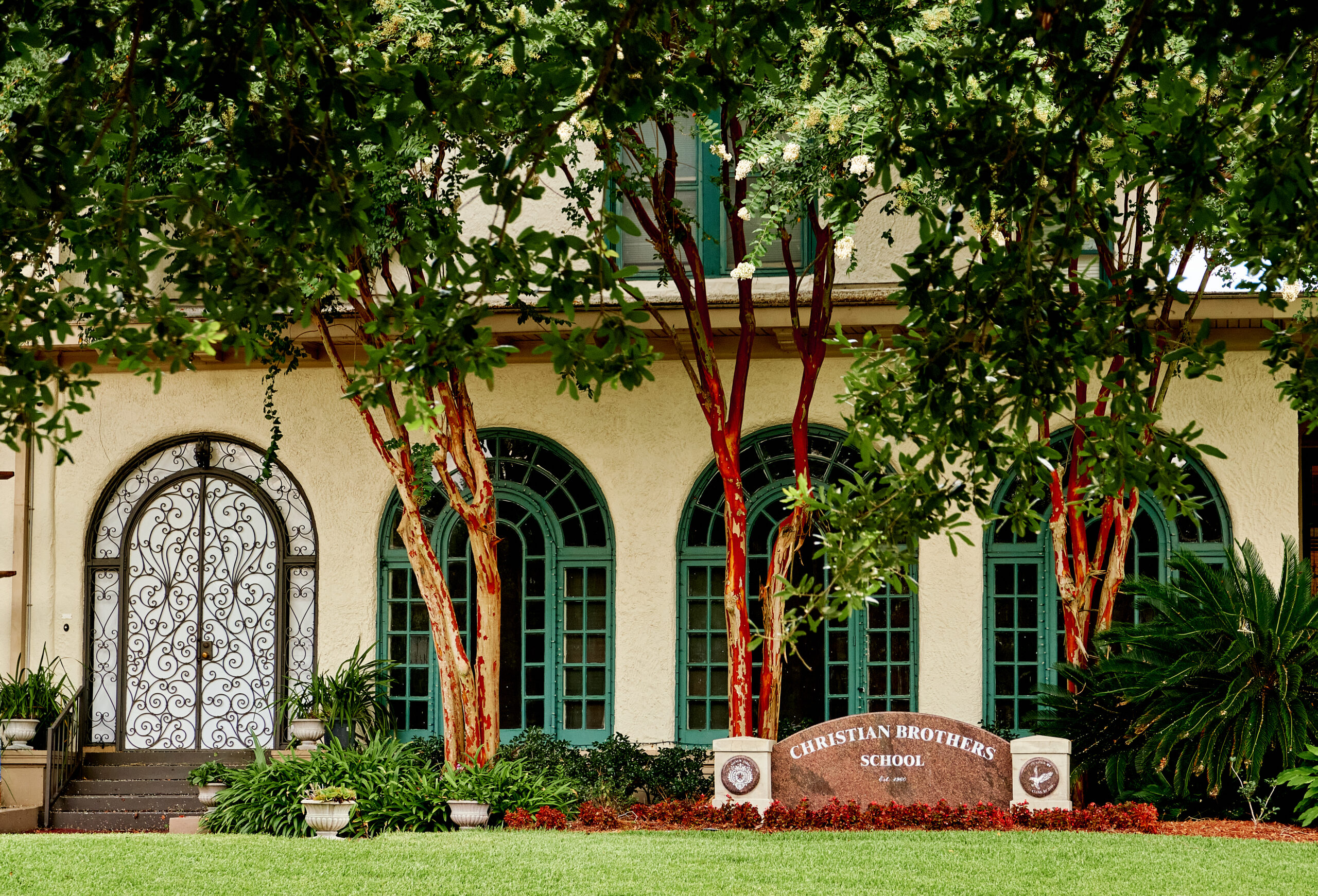 city_park_front_crape_myrtles city_park_front_crape_myrtles